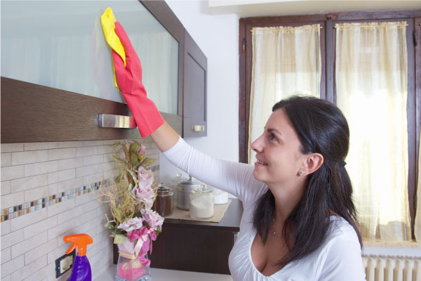 High Touch Sanitize Service